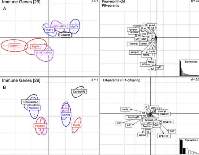 Fig. 2. Immune gene expression of four-month-old juveniles of S. typhle (N = 126). (A) PCA plot based on 29 immune genes visualizing the expression proﬁles of 7 F0-parental treatment groups (parental control (Control), paternal Vibrio (PatV+) and Tenacibac