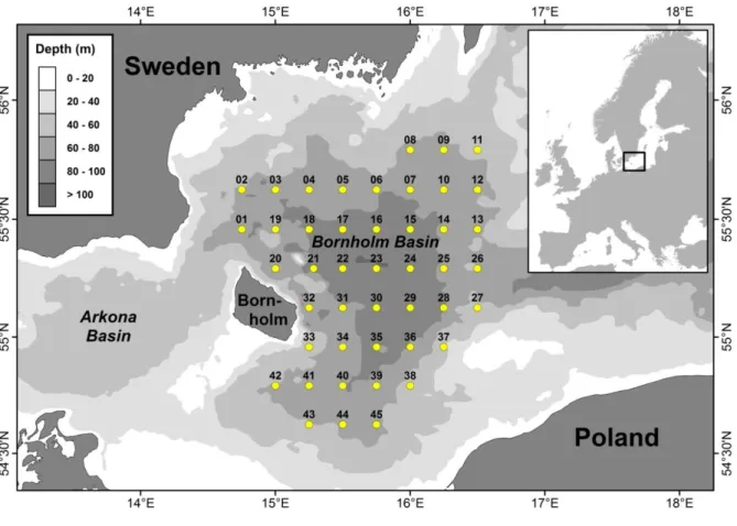 Fig.  2:  Standard  station  grid  for  sampling  of  ichthyoplankton  samples  within  the  Eastern  Baltic  cod  spawning area of the Bornholm Basin