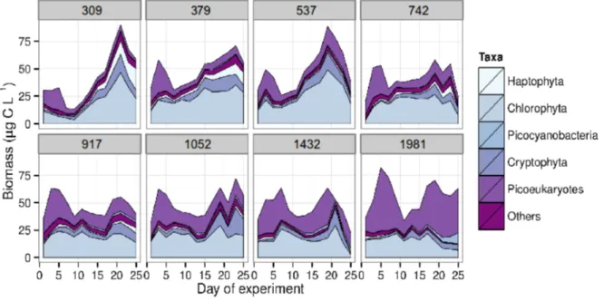 Figure S1: Plankton biomass of the dominant taxonomic groups in the different  CO 2  treatments