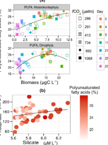 Figure 4. (a) Relation between sestonic relative polyunsaturated fatty acids (PUFAs) with heterokontophyta (PUFA,  heterokonto-phyta) and dinophyta (PUFA, dinoheterokonto-phyta) biomass