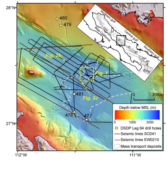 Figure S1: Seismic base map showing the distribution of available 2D seismic data in 593 