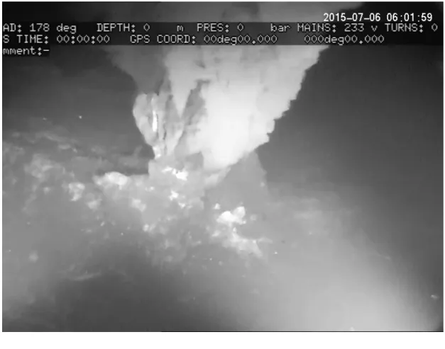 Figure S4: Video still of one of the seven active vents on top of the mound structure