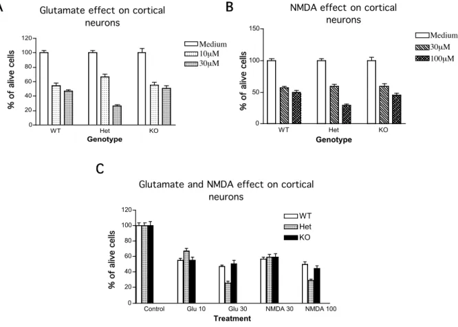 Figure  9  Glutamate and NMDA effect on cortical neurons.