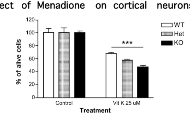 Figure  10   The oxidative stress effect on cortical neurons upon Menadione treatment.