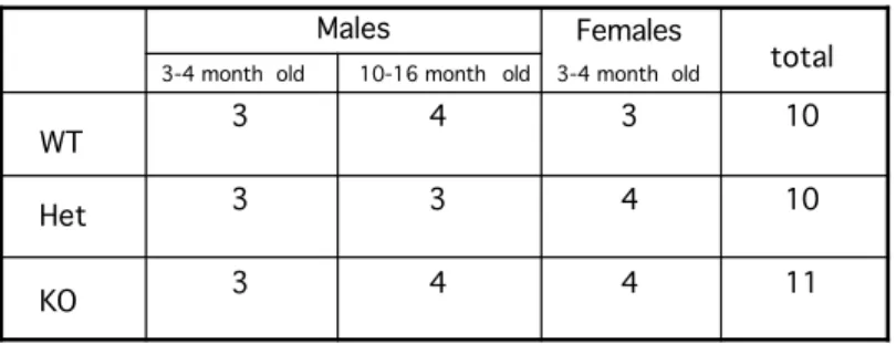 Table  3   Composition  of the population of Mena mutant mice subjected  to the primary  behavioral phenotyping panel.