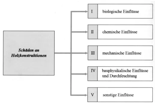 Abb. 3.7: Schadensklassifizierung der untersuchten Holzschädigungen nach Lißner und Rug 2000 