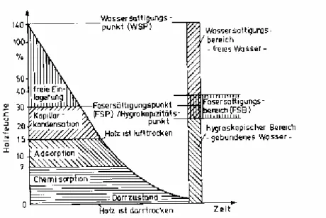 Abbildung 2.19:  Sorptionsverhalten des Holzes 