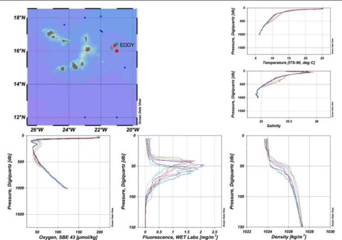 Fig. 5.3  Vertical profiles of temperature, salinity, density, DO (CTD-sensor) within the first 1750 m of the eddy  east of Cape Verde