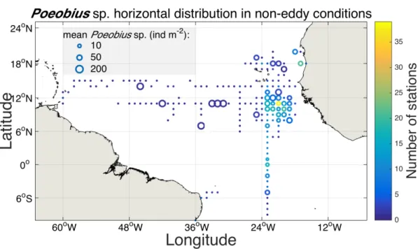 Figure  4:  Horizontal  distribution  map  of  Poeobius  sp.  at  non-eddy  stations  in  the  tropical  Atlantic  Ocean;  averaged  on  a  1  degree  grid  from  vertical  UVP5  casts