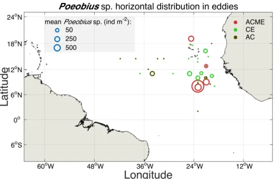 Figure 5: Horizontal distribution map of  Poeobius sp. in eddies in the tropical Atlantic Ocean  from vertical UVP5 casts