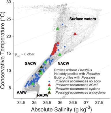 Figure  9:  Poeobius  sp.  occurrence  in  all  available  profiles  from  vertical  UVP5  casts  in  temperature and salinity conditions
