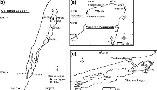 Figure 1. Maps of (a) the Yucatán Peninsula with lagoon locations, (b) Celestún Lagoon and (c) Chelem Lagoon showing the sampling stations (circles) of sediment cores.