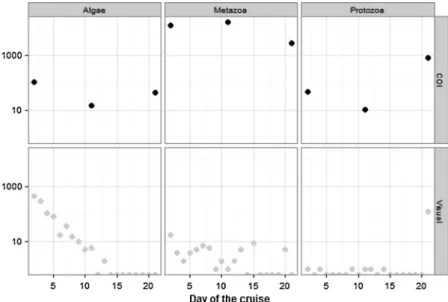 Fig. 4. Densities of algae, metazoan and protozoan organisms reported from the visual analysis of the ballast water samples (number of individuals counted from the 100 L sample) and metabarcoding analysis with COI barcode gene applied (number of sequences 