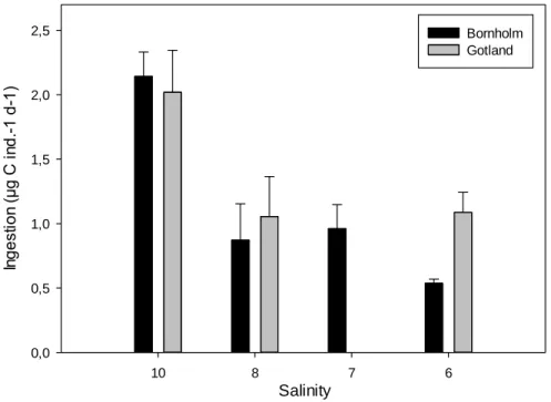 Figure 1: Ingestion rates for the two different Temora longicornis cultures; x-axis represents the  salinity treatments and y-axis denotes the amount of carbon ingested per individual per day