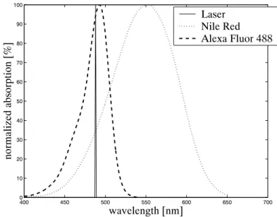 Figure 3.10: Normalized absorption spectra of Alexa Fluor 488 and Nile Red (from Haugland (2001)) and laser excitation line.