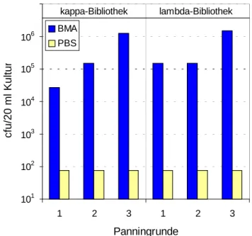 Abb. 8: Anreicherung von Phagen über die Panningrunden. Dargestellt ist die Anzahl eluierter  Phagen (cfu/20 ml Kultur) nach jeweils drei Panningrunden auf BMA der beiden Mischbibliotheken  pSEX81-Mix-VH/VLκ (kappa-Bibliothek) und pSEX81-Mix-VH/VLλ (lambda