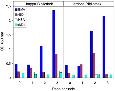 Abb. 9: Polyklonaler Phagen-ELISA zur Analyse der Spezifität der in den Phagenpräparationen  enthaltenen rekombinanten Phagenantikörper der beiden Mischbibliotheken nach drei  Panningrunden auf BMA
