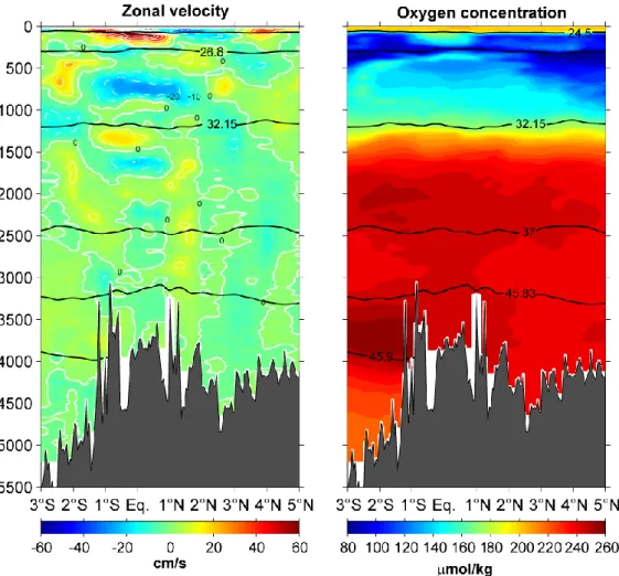 Abb. 1: Zonal velocity in cm/s (left panel) and concentration of dissolved oxygen in mol/kg  (right panel) between 3°S and 5°N along 23°W