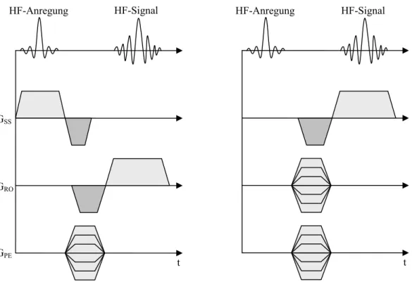 Abb. 2.2: Folge von HF-Impulsen und Gradienten bei der 2D- (links) und 3D-Fourier- 3D-Fourier-Bildgebung (rechts)