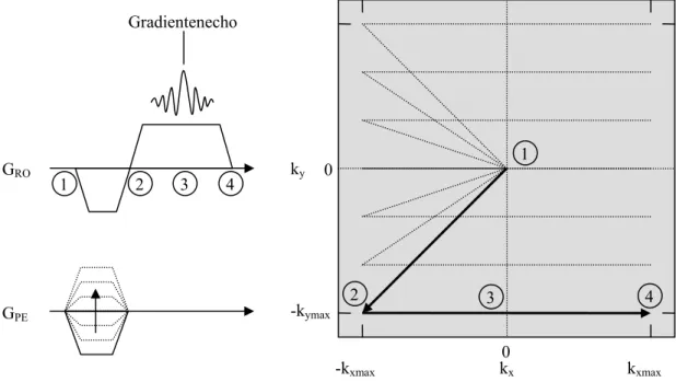 Abb. 2.5: Schema der k-Raum Abtastung einer Gradientenecho-Sequenz. Nach dem  HF-Impuls befindet sich das Signal S(k x ,k y ) im Zentrum des k-Raums (1)