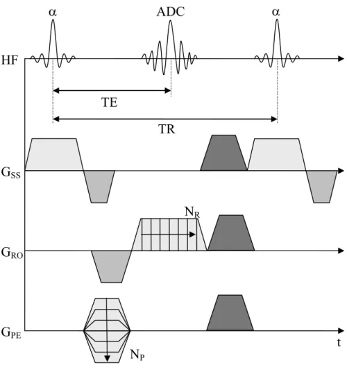 Abbildung 2.9: Gradienten- und Impulsschema der FLASH-Sequenz. Unter Zuhilfe- Zuhilfe-nahme des Schichtselektionsgradienten wird in einer Schicht  Transversalmagneti-sierung erzeugt