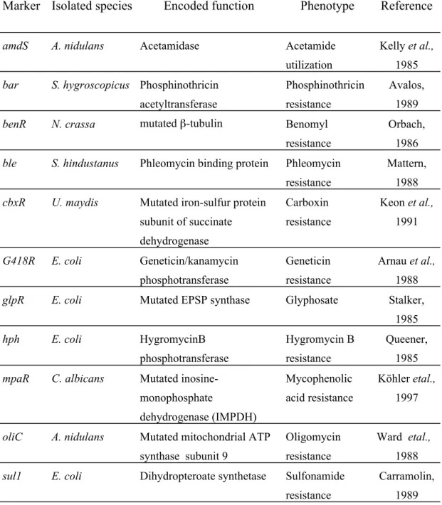 Table 3.2. Dominant selectable markers commonly used for transformation of                   filamentous fungi