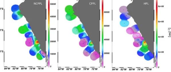 Figure 4. Phyto- and bacterioneuston (&lt; 20 µm) abundance (number mL −1 ) in the SML off the coast of Peru during M93: NCPL: “Non- “Non-cyanobacterial-type” phytoplankton; CPL: ““Non-cyanobacterial-type” phytoplankton; HPL: heterotrophic bacterioplankton