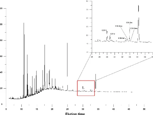 Fig.  4  Example  of  Gas  Chromatogram  from  one  of  the  samples  (HU84-045-021_1  cm)