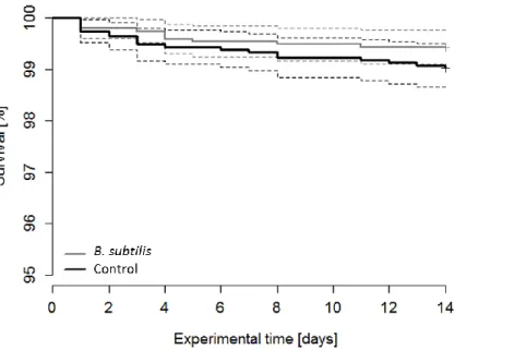 Fig.  1.  Kaplan-Meier  survival  curves  of  sea  bass  juveniles  fed  B.  subtilis  encapsulated  in  Artemia  (grey)  or  a  control  diet  (Artemia  without  B