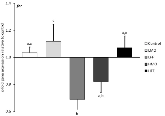 Fig. 3. Gene expression of ferritin (fer) in sea bass larvae administered a low PHB dose from mouth  opening on (LMO), a low PHB dose from first feeding on (LFF), a high PHB dose from mouth opening  on  (HMO),  a  high  PHB  dose  from  first  feeding  on 