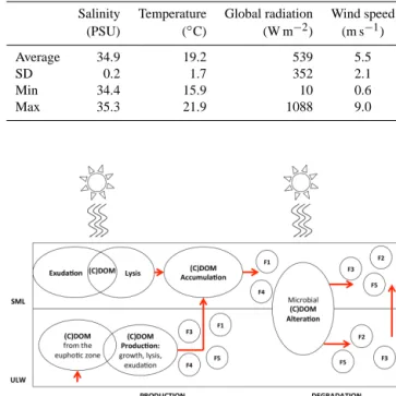 Figure 1. Conceptual model of the sources and modifications of optically active DOM in the SML and underlying seawater in the upwelling region off the coast of Peru during the SOPRAN M91 cruise.