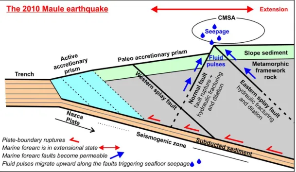 Figure 6. Conceptual model illustrating how seismic rupture during the 2010 Maule earthquake governed extensional faulting, ﬂuid ﬂow, and hydrocarbon seepage in the Concepci on  Methane Seepage Area (CMSA).