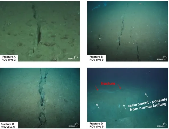 Figure 2. Seaﬂoor fractures documented during ROV dives in the footwall of the large normal fault (compare the inset in the bottom left corner of Figure 1C for the exact locations of the fractures)