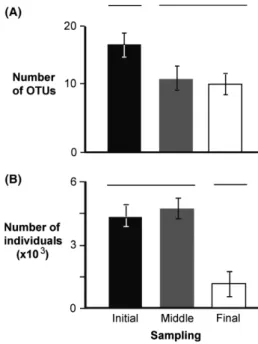 Figure 4. Average (  SD) number of OTUs (A) and average (  SD) number of individuals (B) for copepods obtained from all initial (black bar), middle (gray bar), and final (white bar) samples