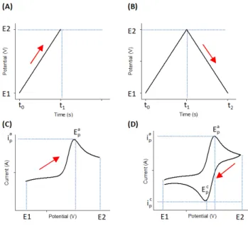 Figure  2.1:  Diagrams  of  reversible  redox  couple  in  cyclic  voltammetry  measurement