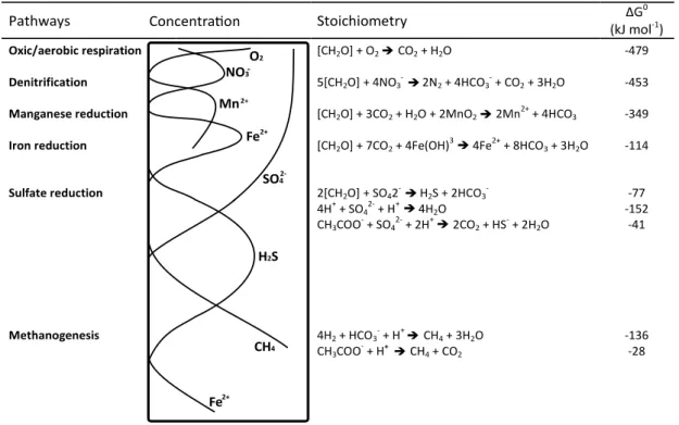 Figure 2: Biogeochemical zonation of organic matter degradation in marine sediments, modified from  Jørgensen  &amp;  Kasten  (2006)