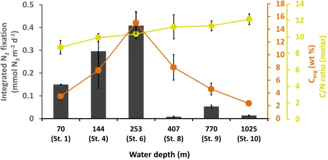 Figure  5:  Integrated  nitrogen  fixation  (mmol  N 2   m -2   d -1 ,  grey  bars,  average  of  three  replicates),  average organic carbon content (C org , wt%, orange curve) and the average C/N ratio (molar, yellow  curve) from 0-20 cm along the depth 