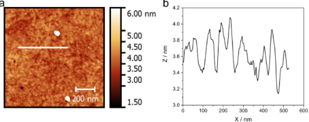 Figure  2.4.  a.  AFM  image  of  TS  Au  substrate  (size:  1×1  µm).  b.  The  corresponding  profile along the line indicated in the image