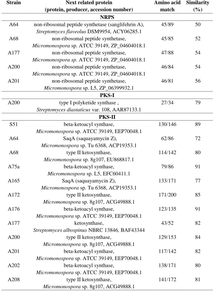 Table  4.  NRPS,  PKS-I  and  PKS-II  gene  products  related  to  amino  acid  sequences  derived from the respective PCR amplificates of Micromonospora strains