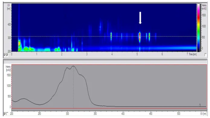 Figure  3.  HPLC-UV  profile  of  Micromonospora  strain  S20.  Top:  The  DAD  spectra  of  the  chromatogram  of  the  crude  extract  showed  several  compounds