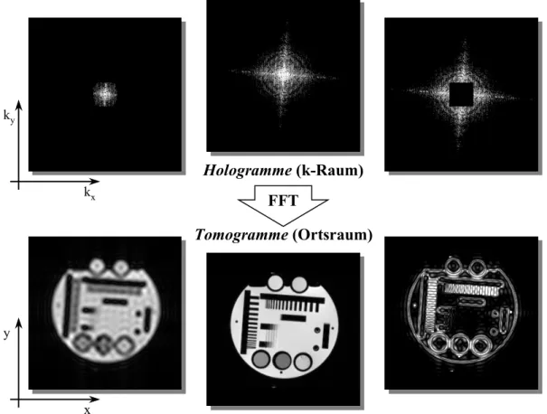 Abbildung 2.4:  In der MR-Tomographie werden Hologramme von Objekten aufgenommen, die durch eine schnelle Fouriertransformation (FFT) in Tomogramme bzw