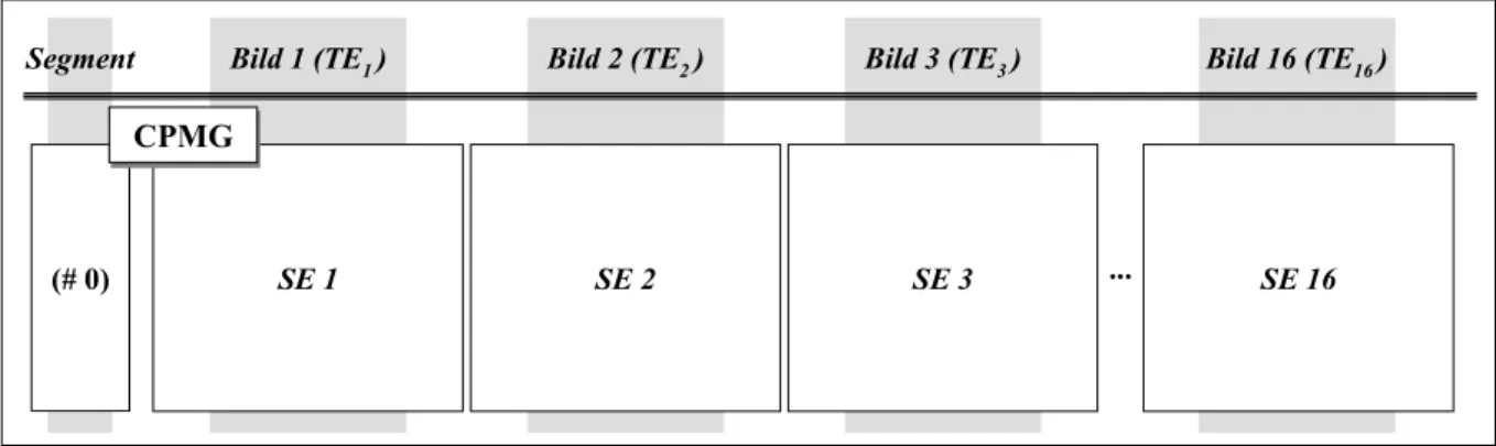 Abbildung 4.2: Sortierung der Spinechos in die Hologramme der einzelnen Bilder für CPMG