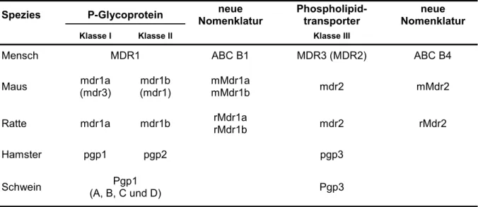 Tabelle 1.3: Klassifizierung und Nomenklatur der MDR-Genfamilie [Klein et al., 1999]