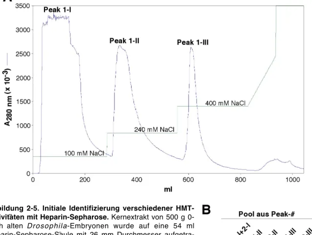 Abbildung  2-5.  Initiale  Identifizierung  verschiedener  HMT- HMT-Aktivitäten mit Heparin-Sepharose