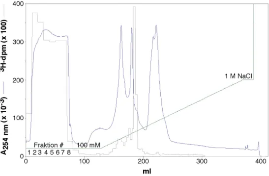 Abbildung 2-6. Fraktionierung der HMT-Aktivität mittels Anionentauscher. Die vereinten Protein- Protein-peaks I aus Lauf 1 und 2 der Heparin-Sepharose wurden auf eine 12 ml Source15Q-Säule mit 16 mm Durchmesser aufgetragen