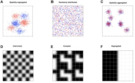Figure  2.  Examples  of  patterns  of  spatial  self-organization.  Consider  two  different  genotypes  (marked red and blue)