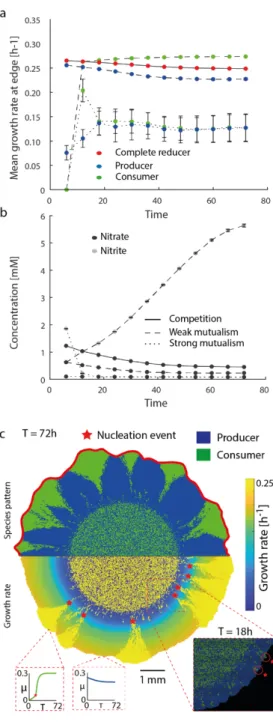 Figure 2. The underlying chemical landscape governs local growth rates of the bacterial colony