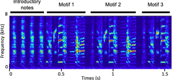 Figure 1.2.: Spectrogram of the song of r15s12. The color coded  (from  low  to  high  power,  blue  to  red)  spectrogram  shows  power  spectrum  at  different  frequencies  over  time