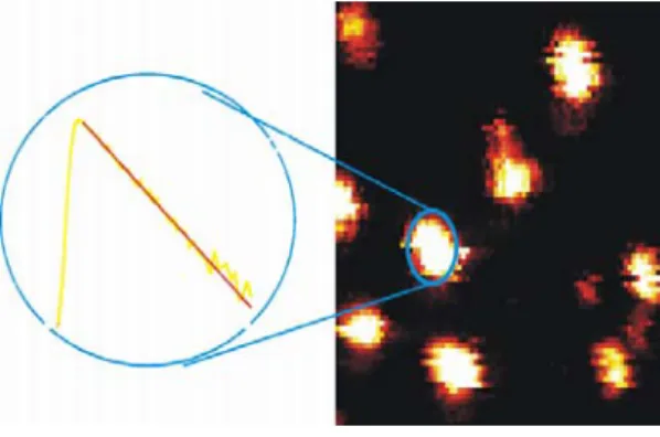 Abbildung 3.2-1: Intensitätsbild einer Glasoberfläche mit Fluoreszenz-Spots eines Farbstoffs und  schematische Darstellung der daraus erhältlichen Fluoreszenzlebensdauer (Abklingkurve)