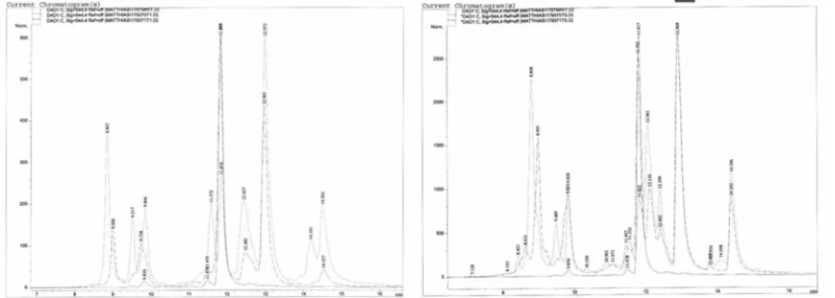 Abbildung 5.2.1-20 Überlagerung der Chromatogramme vonUni370-TC-TMR, Uni371-TC-TMR und  TMR zur Identifizierung der Produkte (2 Reaktions-Sets) 